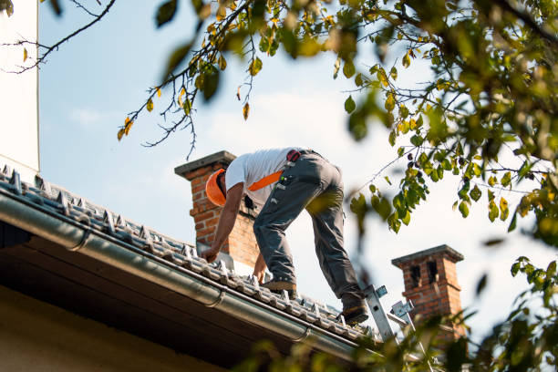 Best Sheet Metal Roofing  in Gibson City, IL