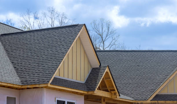 Best Asphalt Shingle Roofing  in Gibson City, IL